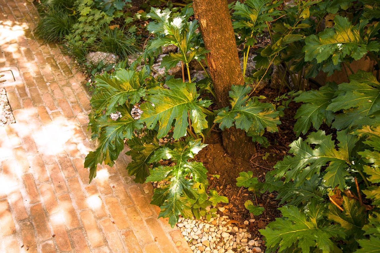 Urban Jungle Apartment Bologna Exterior photo
